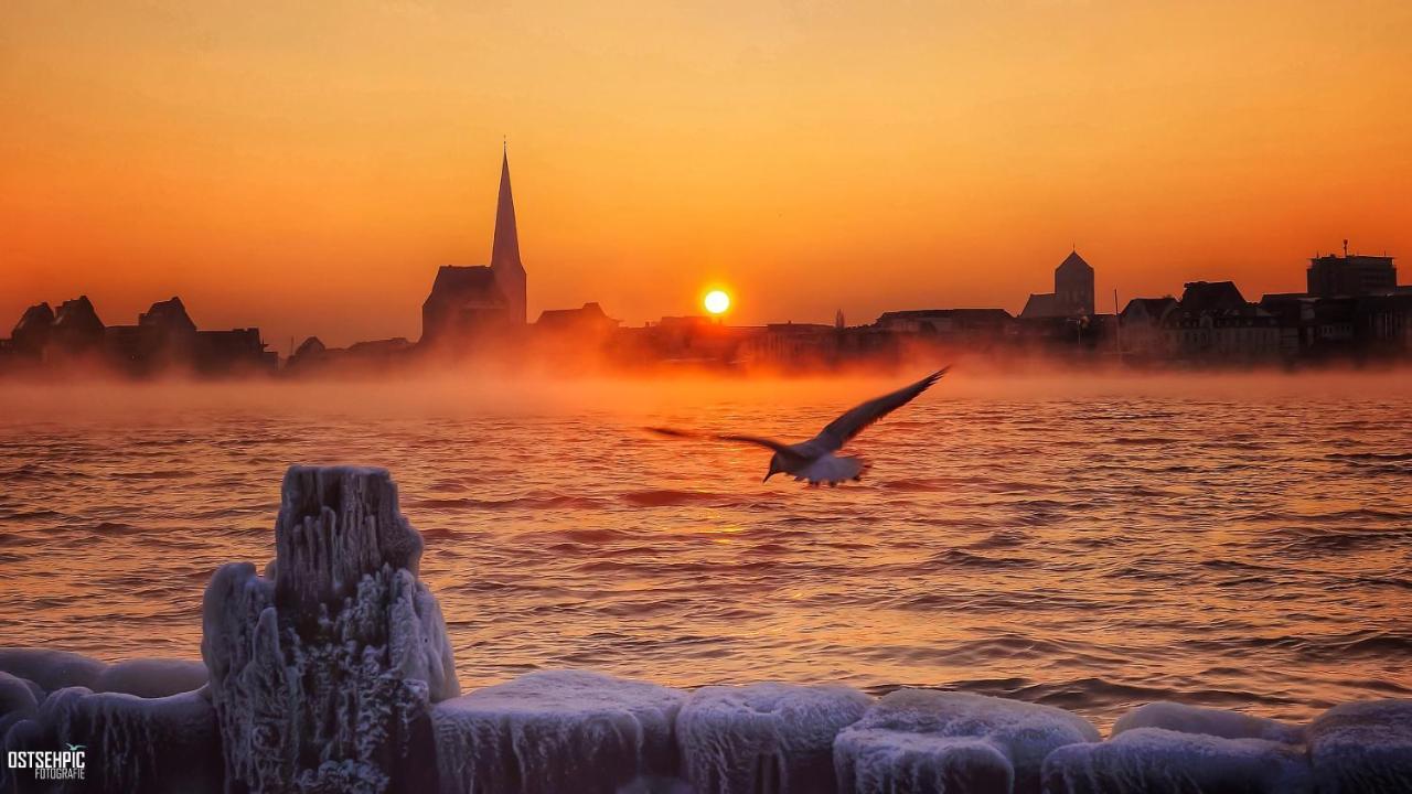 Bernstein Rostock